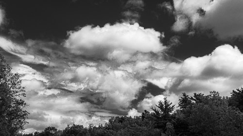 NYS 87  |  NY - May 2026